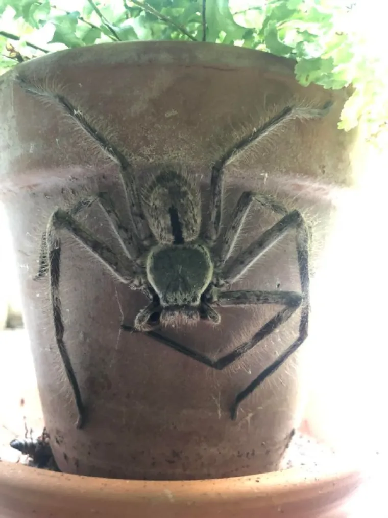 OKEJ, TO JE TO, SELIMO NA MARS: Zaboravite na hororce, stvarnost može biti puno puno stra&scaron;nija