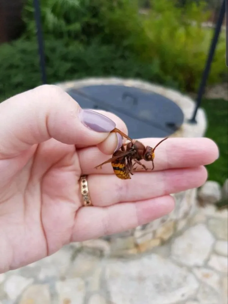 OKEJ, TO JE TO, SELIMO NA MARS: Zaboravite na hororce, stvarnost može biti puno puno stra&scaron;nija