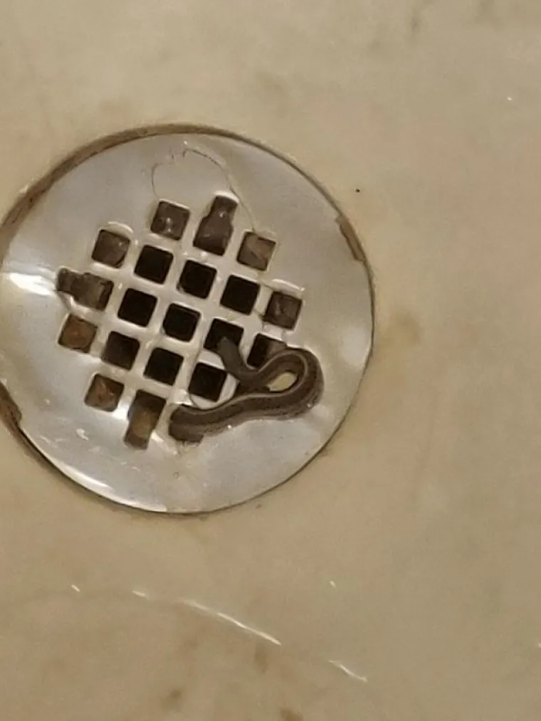 OKEJ, TO JE TO, SELIMO NA MARS: Zaboravite na hororce, stvarnost može biti puno puno stra&scaron;nija