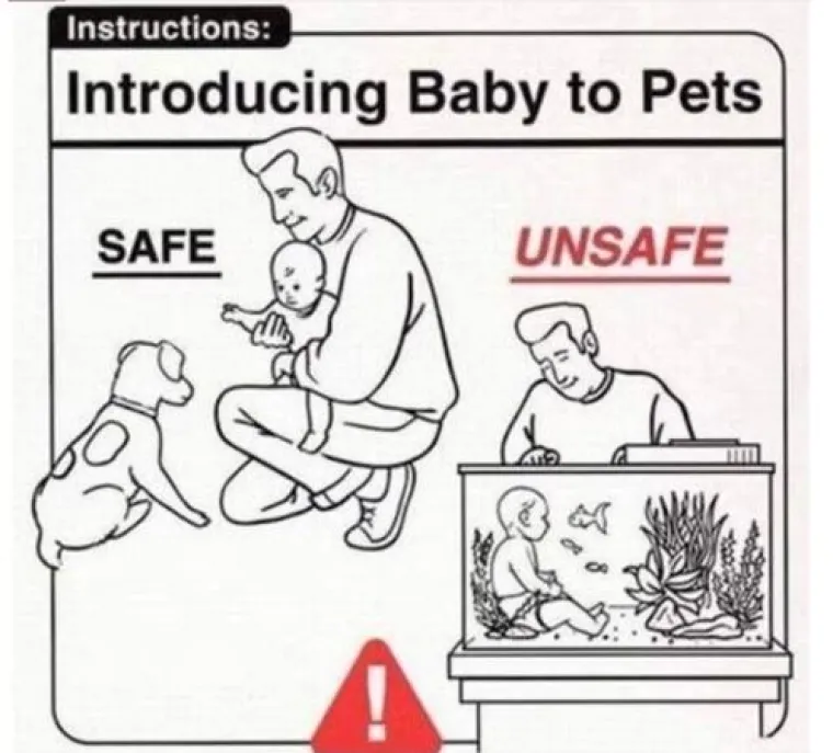 Ovo su najurnebesnije slike kako se i kako se NE odnositi prema malom djetetu