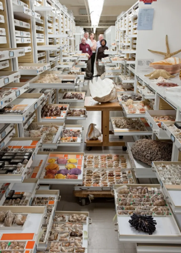 Repozitorij američkog prirodoslovnog muzeja Smithsonian