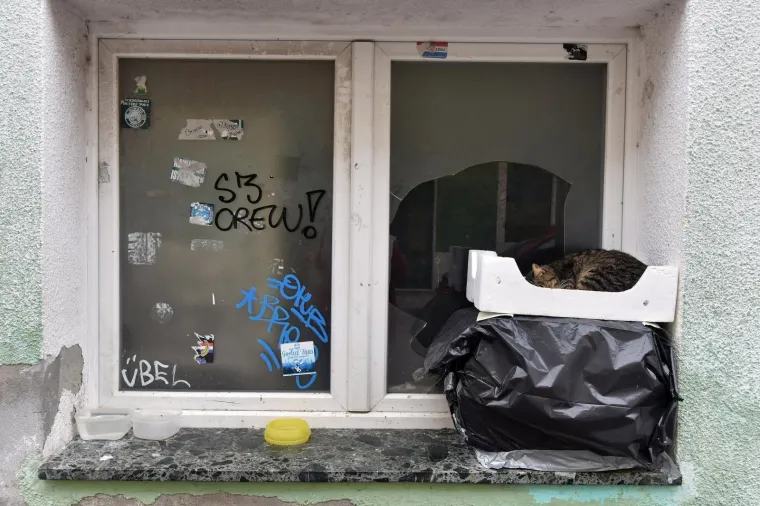 Omiljena mačka lutalica dobila poseban smje&scaron;taj za hladne zimske dane. I sviđa joj se!