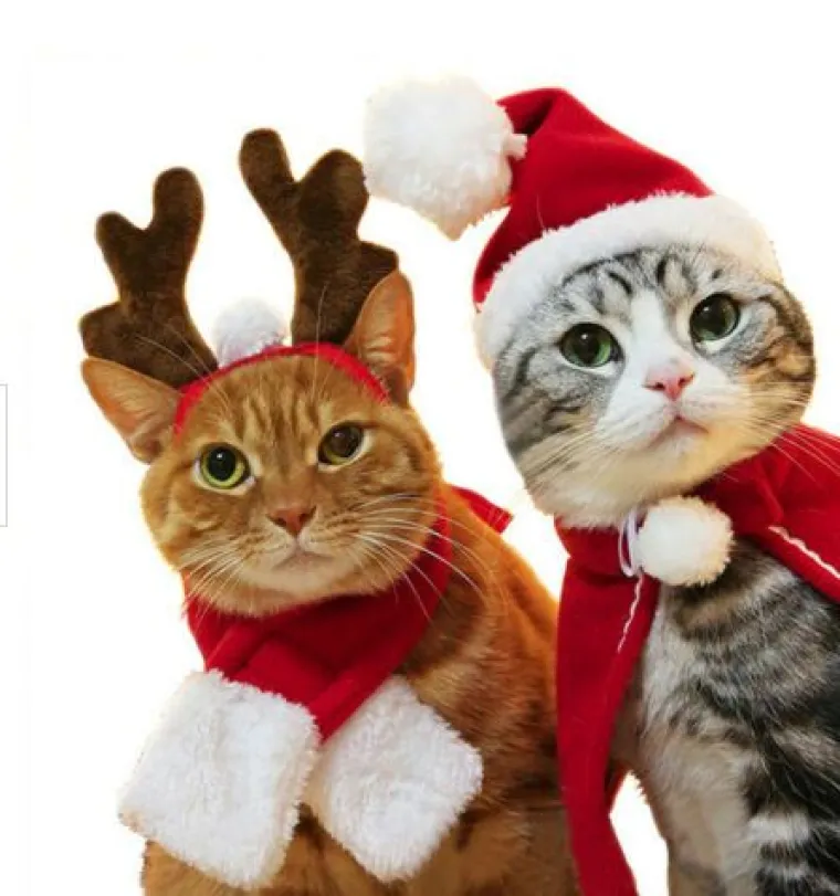 I njima će blagdani: Ebay je prepun božićnih 'outfita' za kućne ljubimce, morate ih vidjeti