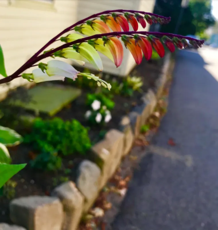 Kako je ovo moguće? 12 fotografija za koje nikad ne bi rekli da su stvarne (ali jesu)