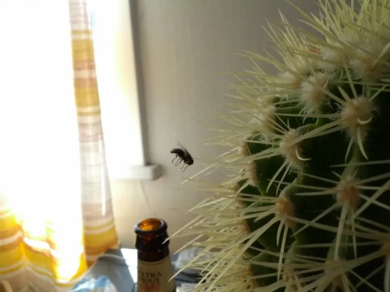 Nećete vjerovati ali ove slike su 'slučajne', samo je tajming savršen