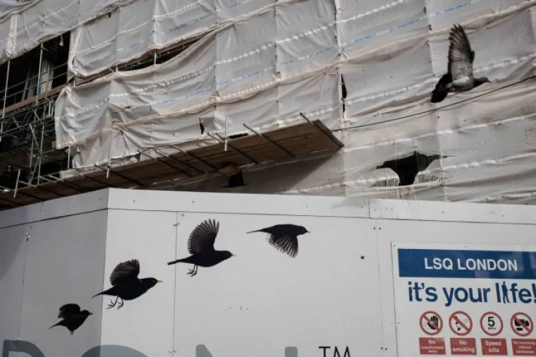 Nećete vjerovati ali ove slike su 'slučajne', samo je tajming savršen