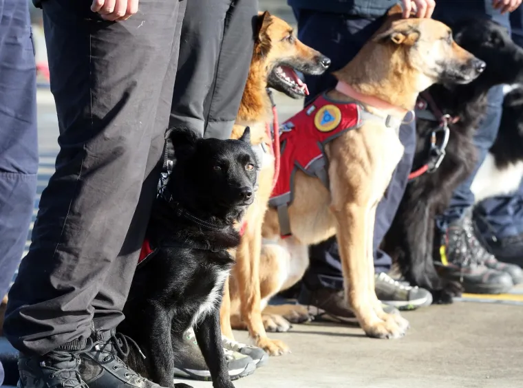 Hrvatski heroji vratili se iz Albanije: Nakon potresa spa&scaron;avali ljude iz ru&scaron;evina