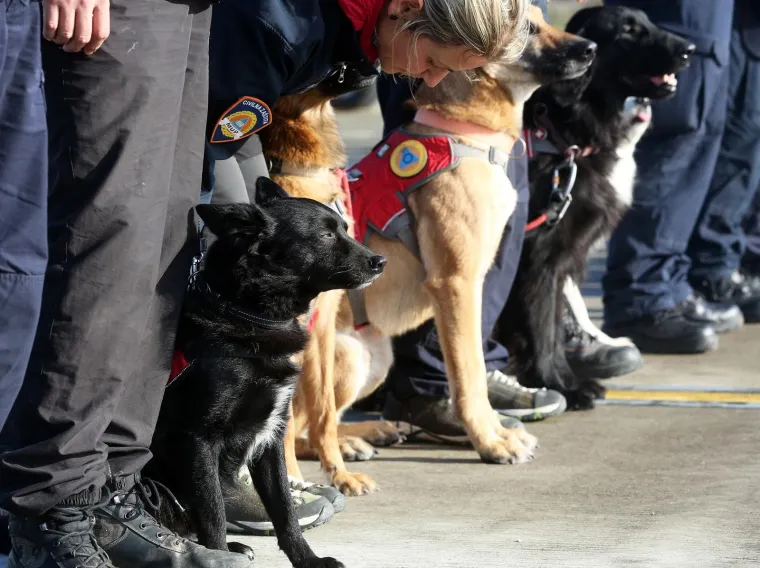 Hrvatski heroji vratili se iz Albanije: Nakon potresa spa&scaron;avali ljude iz ru&scaron;evina