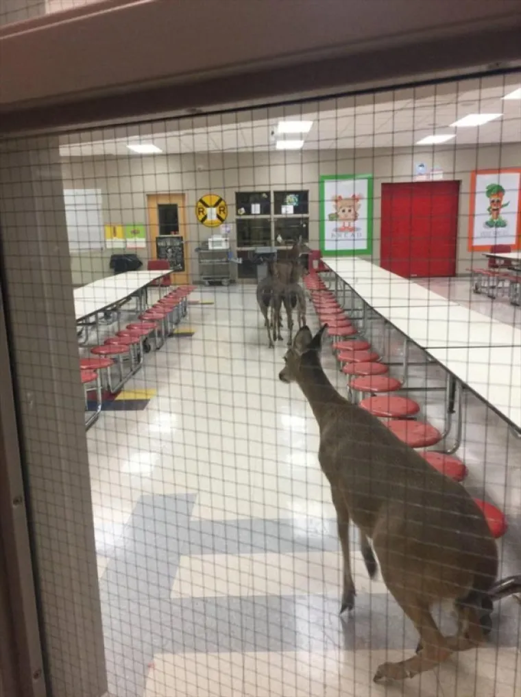 OVO JE STVARNO BRZO ESKALIRALO: Dobro da su snimali inače im ba&scaron; nitko ne bi vjerovao