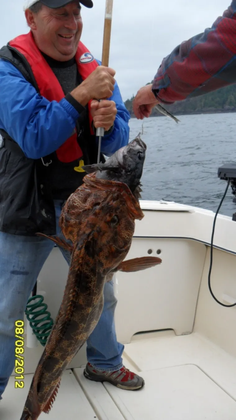 OVO JE STVARNO BRZO ESKALIRALO: Dobro da su snimali inače im ba&scaron; nitko ne bi vjerovao
