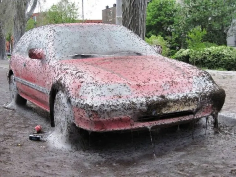 OVO JE STVARNO BRZO ESKALIRALO: Dobro da su snimali inače im ba&scaron; nitko ne bi vjerovao