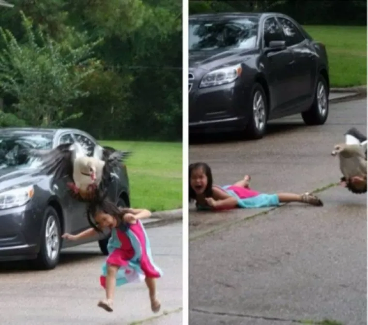 OVO JE STVARNO BRZO ESKALIRALO: Dobro da su snimali inače im ba&scaron; nitko ne bi vjerovao