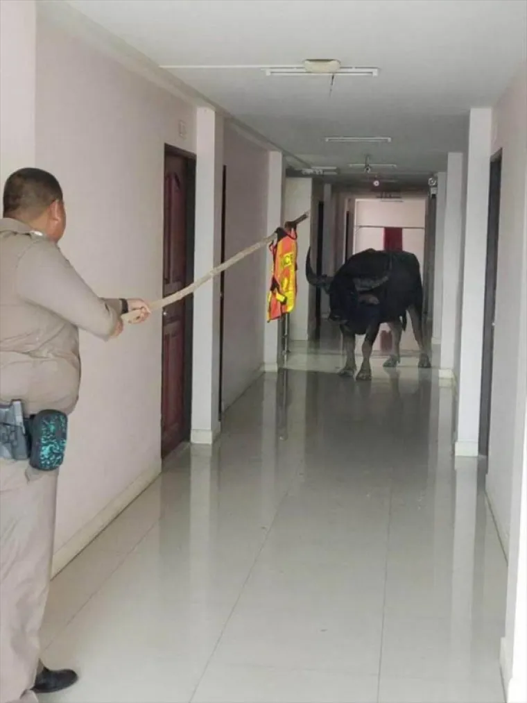 OVO JE STVARNO BRZO ESKALIRALO: Dobro da su snimali inače im ba&scaron; nitko ne bi vjerovao