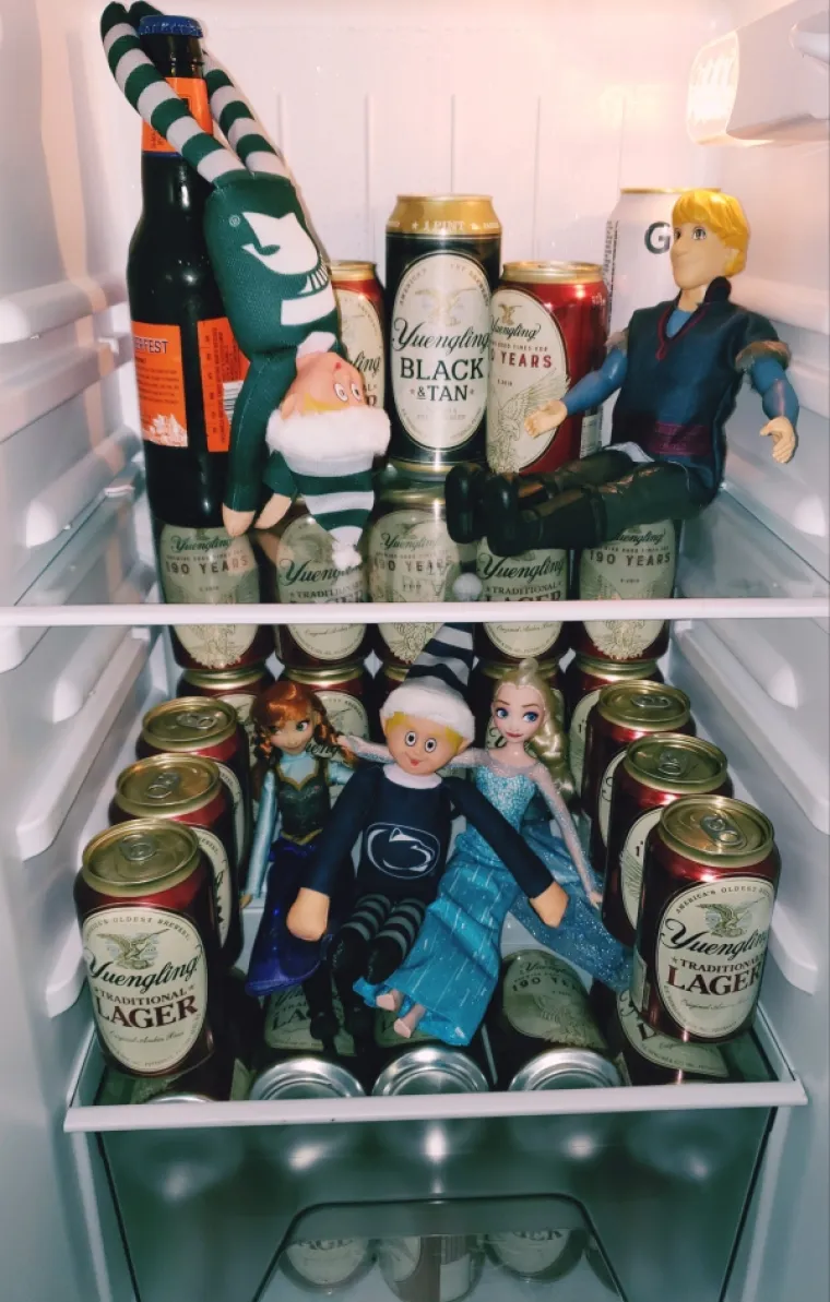 KAŽETE, DOBRO STE SE NAPILI SINOĆ? Ako ste se osramotili barem upola kao oni, svaka vam čast!