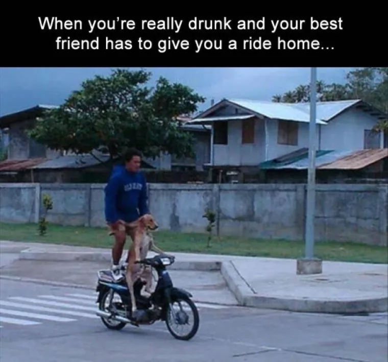 KAŽETE, DOBRO STE SE NAPILI SINOĆ? Ako ste se osramotili barem upola kao oni, svaka vam čast!