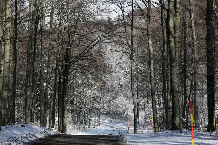 Gorski kotar zabijelio prvi ovogodi&scaron;nji snijeg: Zimske radosti mogu početi
