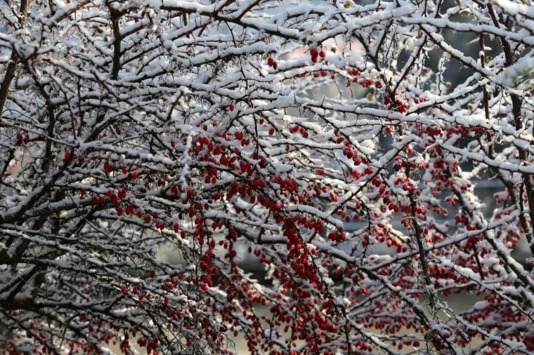 Gorski kotar zabijelio prvi ovogodi&scaron;nji snijeg: Zimske radosti mogu početi
