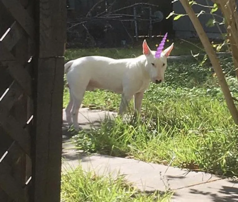 &Scaron;to se ovdje događa? Ove fotografije rijetko tko može razumjeti