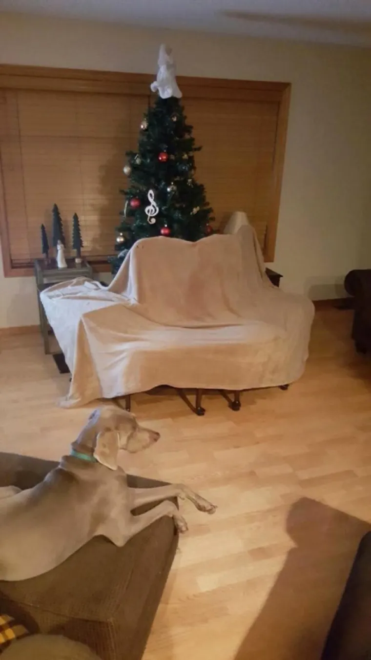 NEKI IMAJU POSEBNA PRAVILA ZA ADVENT: 'Nikad vas nisam pitala, a za&scaron;to vam stoji kućica u kutu sobe, sad tek vidim... '