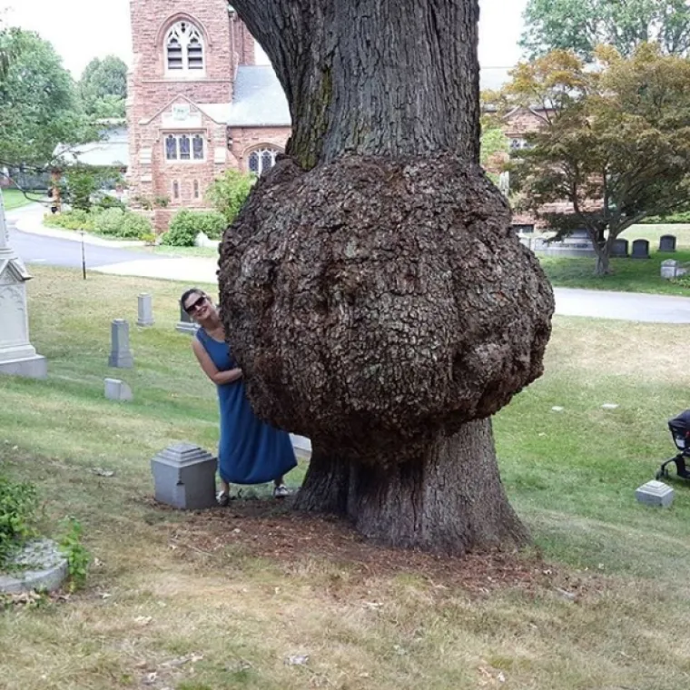POKAZALI NAJČUDNIJE FOTOGRAFIJE KOJE SU PRONA&Scaron;LI U SVOM MOBITELU: Neke su i nas &scaron;okirale