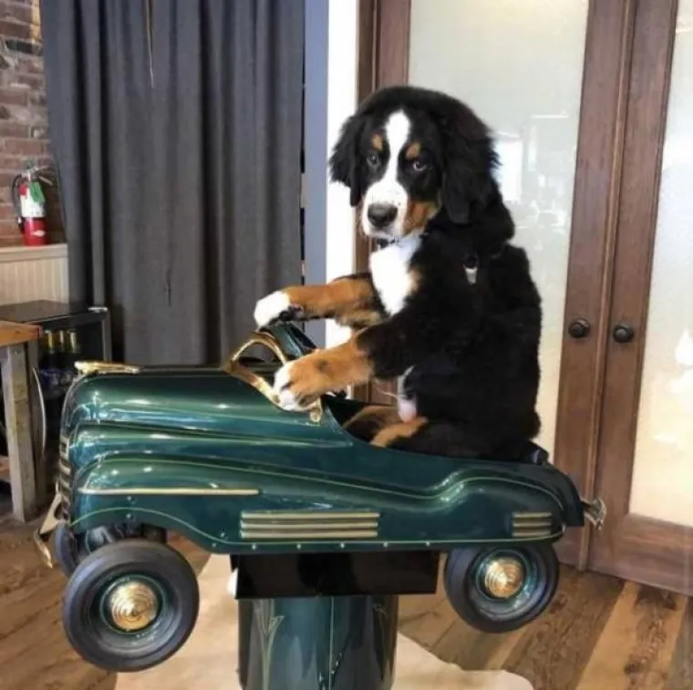 POKAZALI NAJČUDNIJE FOTOGRAFIJE KOJE SU PRONA&Scaron;LI U SVOM MOBITELU: Neke su i nas &scaron;okirale