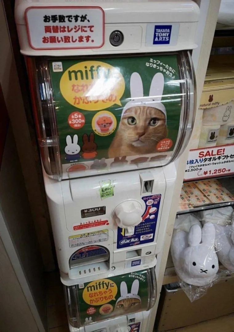 PRIJETNJA S DALEKOG ISTOKA: Navikli smo na lude Ruse, i Ameri znaju briljirati, ali na istoku su ipak domovine svih bizarluka