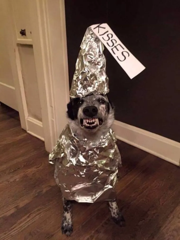 PROBAJTE OSTATI OZBILJNI DOK GLEDATE OVE FOTOGRAFIJE: Mi nismo izdržali, a vi?