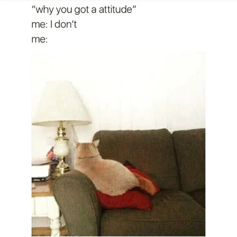 PROBAJTE OSTATI OZBILJNI DOK GLEDATE OVE FOTOGRAFIJE: Mi nismo izdržali, a vi?