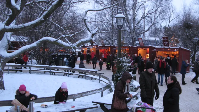 Božićni sajam u Stockholmu u Šveskoj je muzej na otvorenom u srcu samog grada. Bazira se na tradiciji. Skansen je i dom nordijskim životinjama, pa možete kombinirati šoping s promatranjem tih životinja.