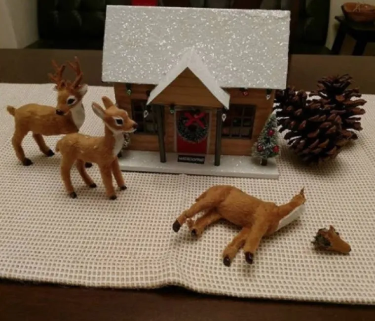 Pas mu odgrizao glavu