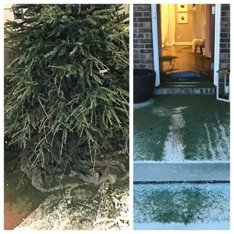 VRIJEME DARIVANJA I - URNEBESNIH FAILOVA: Od snježnih radosti, do ukra&scaron;avanja i kolača, sve &scaron;to je moglo, po&scaron;lo je po zlu