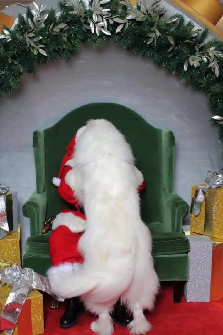 VRIJEME DARIVANJA I - URNEBESNIH FAILOVA: Od snježnih radosti, do ukra&scaron;avanja i kolača, sve &scaron;to je moglo, po&scaron;lo je po zlu