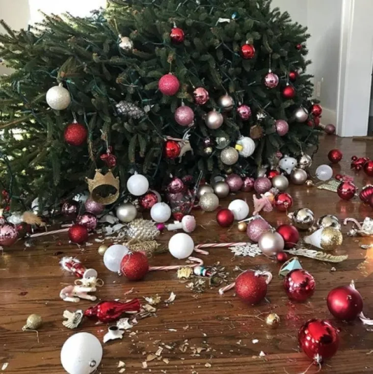 VRIJEME DARIVANJA I - URNEBESNIH FAILOVA: Od snježnih radosti, do ukra&scaron;avanja i kolača, sve &scaron;to je moglo, po&scaron;lo je po zlu