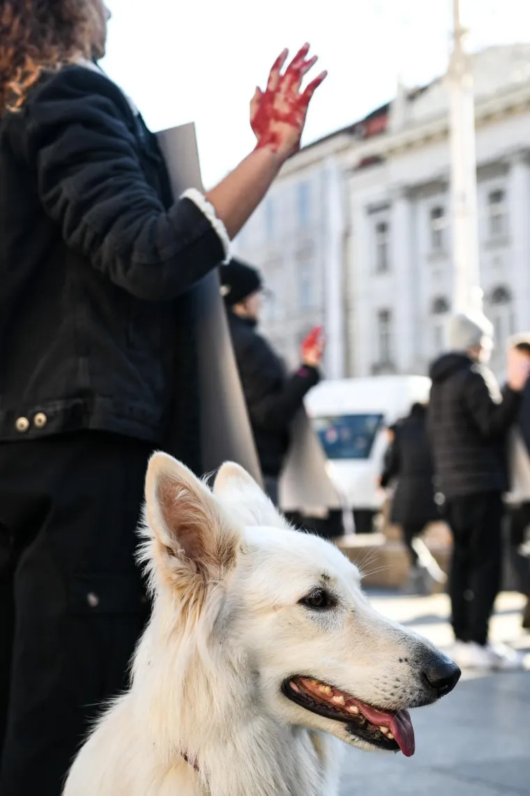 Prijatelji životinja izveli performans na Adventu i poručili: 'Životinje nisu hodajuće kobasice'
