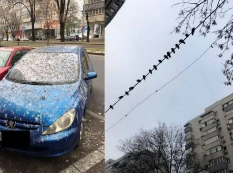 Mislite da imate ba&scaron; 'peha' danas? Pogledajte ove fotke i razuvjerite se