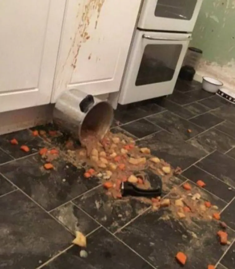 Mislite da imate ba&scaron; 'peha' danas? Pogledajte ove fotke i razuvjerite se