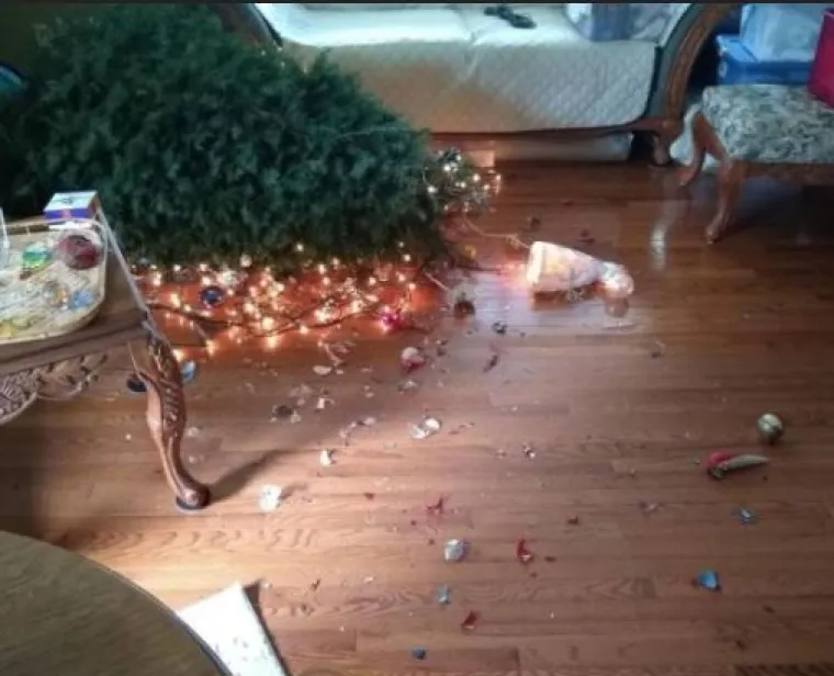 Mislite da imate ba&scaron; 'peha' danas? Pogledajte ove fotke i razuvjerite se