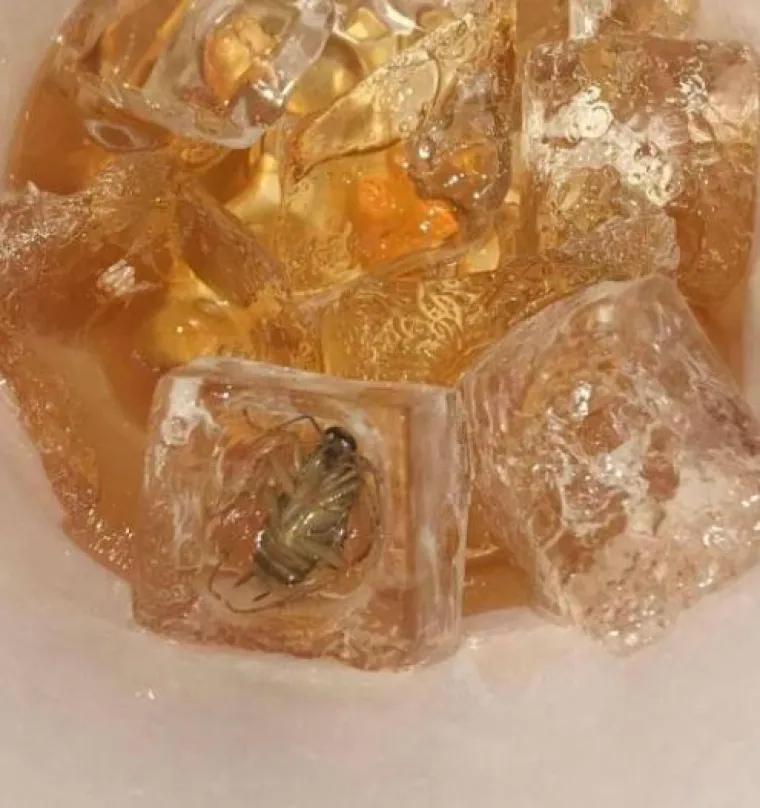 Mislite da imate ba&scaron; 'peha' danas? Pogledajte ove fotke i razuvjerite se