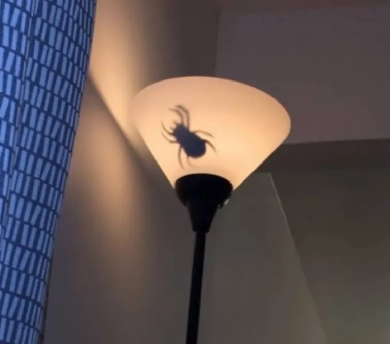 Svaki put kad upali svjetlo   čujem vrisak