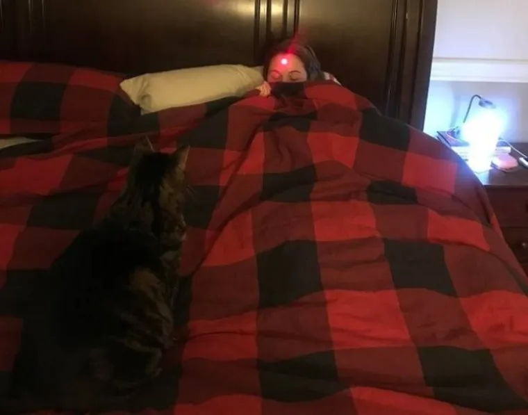 Sjajan način za početak dana