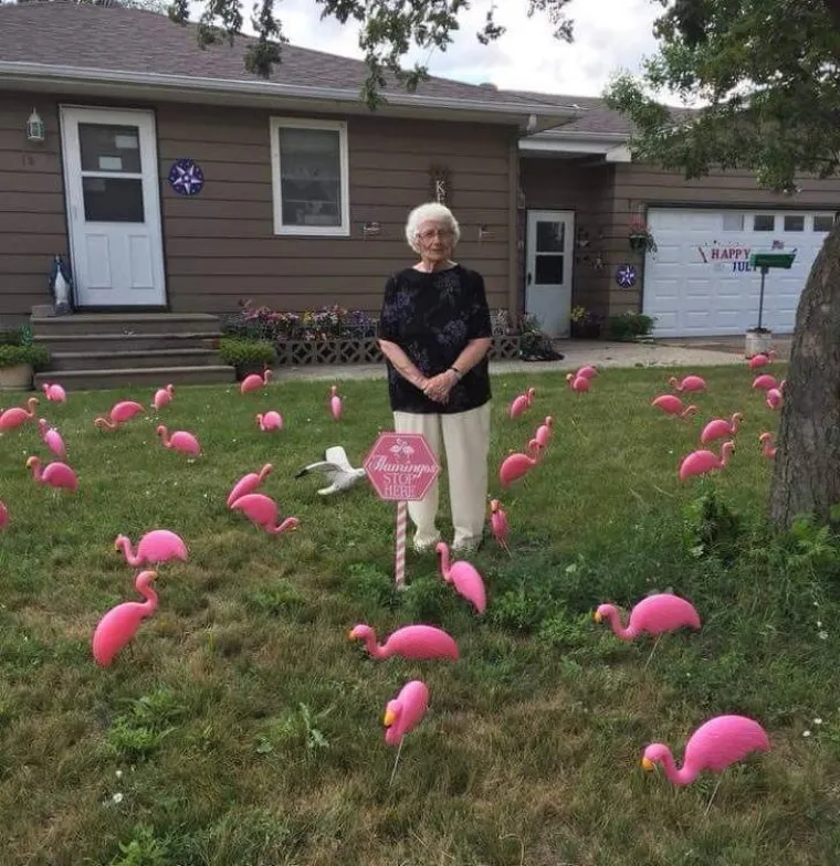U OVIM OBITELJIMA USKORO ĆE BITI GADNE SVAĐE: Oni su trolanje podigli na jednu sasvim novu razinu