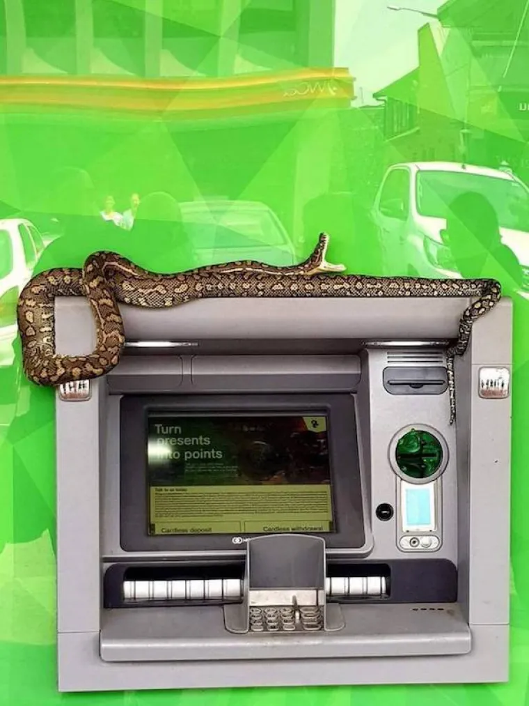 POTPUNO NEOČEKIVANI HORORI: Ako vas ne užasnu fotografije, proći će vas jeza kad saznate čemu služe leće sa &scaron;iljcima