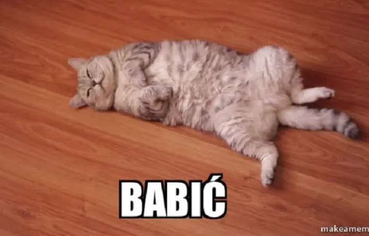 Kada bi predsjednički kandidati bili mačke - fotke koje su postale hit u sekundi