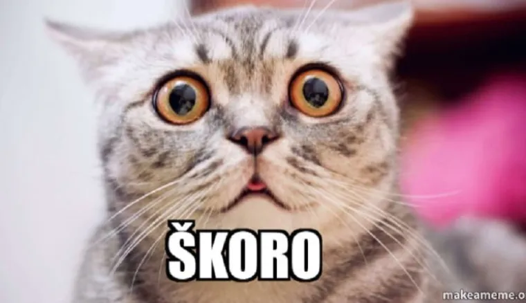 Kada bi predsjednički kandidati bili mačke - fotke koje su postale hit u sekundi