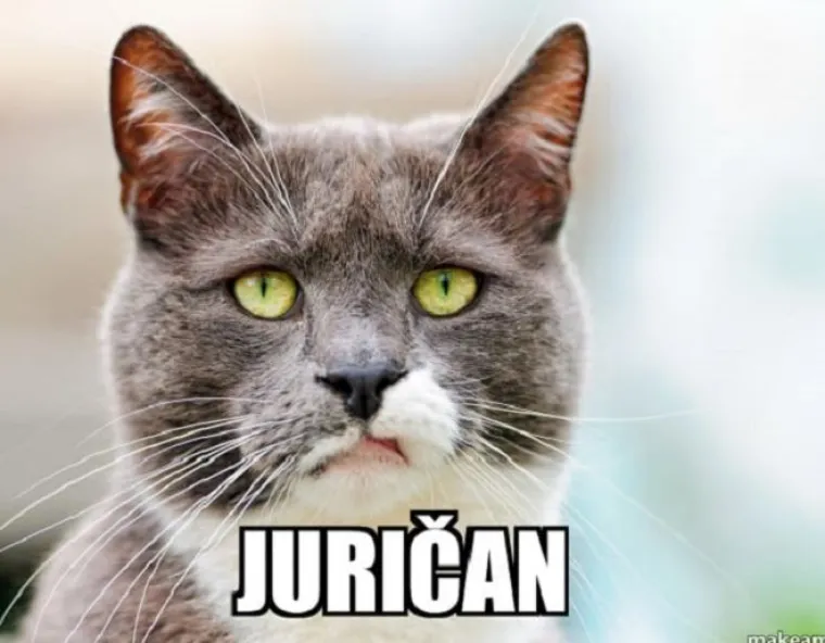 Kada bi predsjednički kandidati bili mačke - fotke koje su postale hit u sekundi