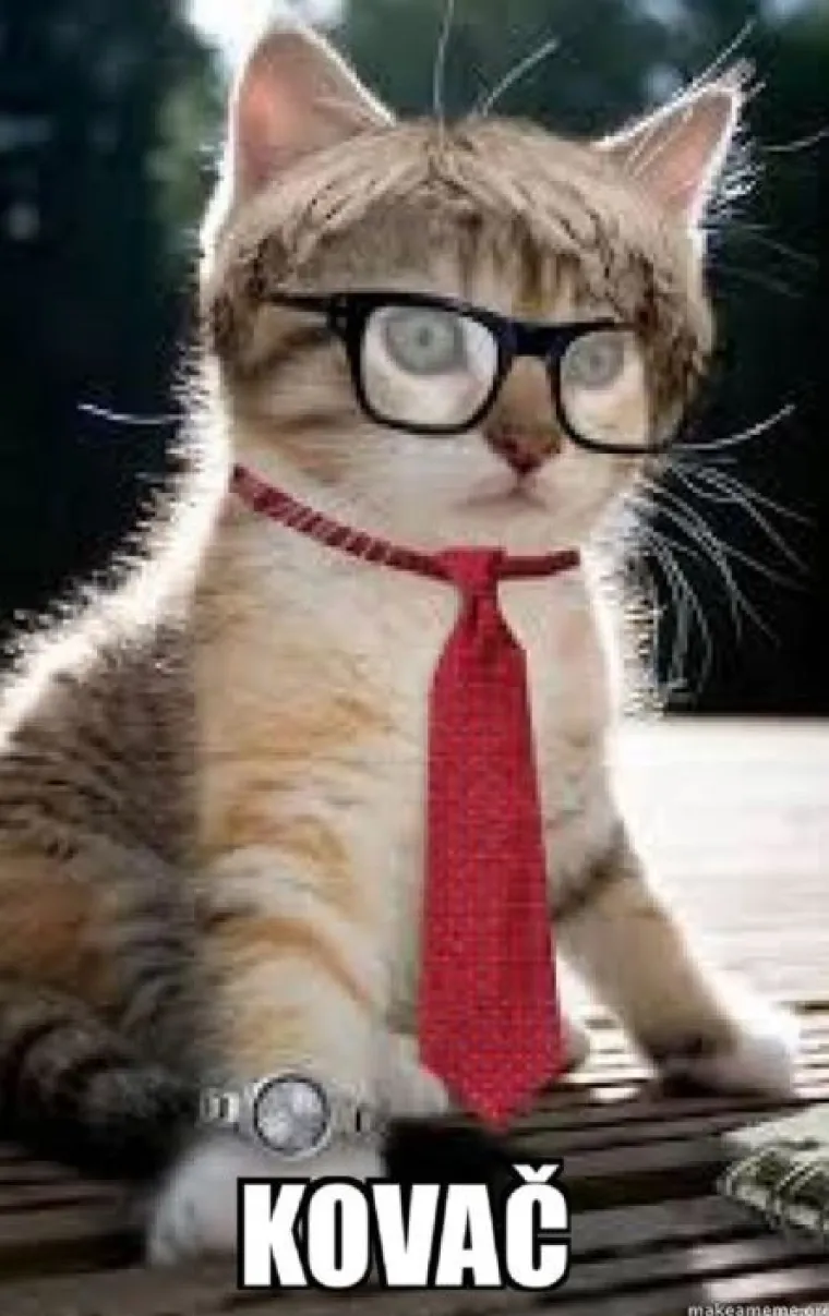 Kada bi predsjednički kandidati bili mačke - fotke koje su postale hit u sekundi