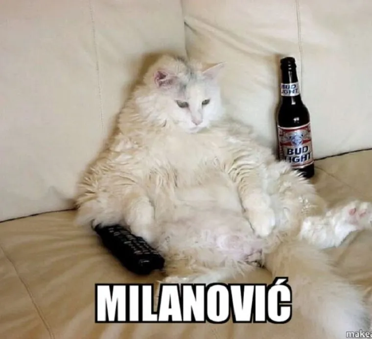 Kada bi predsjednički kandidati bili mačke - fotke koje su postale hit u sekundi