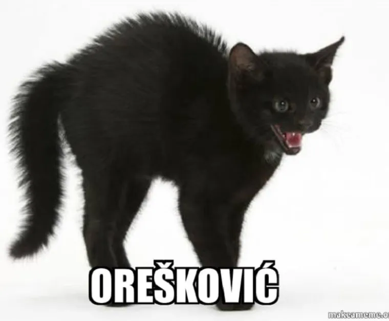 Kada bi predsjednički kandidati bili mačke - fotke koje su postale hit u sekundi