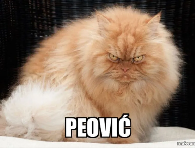 Kada bi predsjednički kandidati bili mačke - fotke koje su postale hit u sekundi