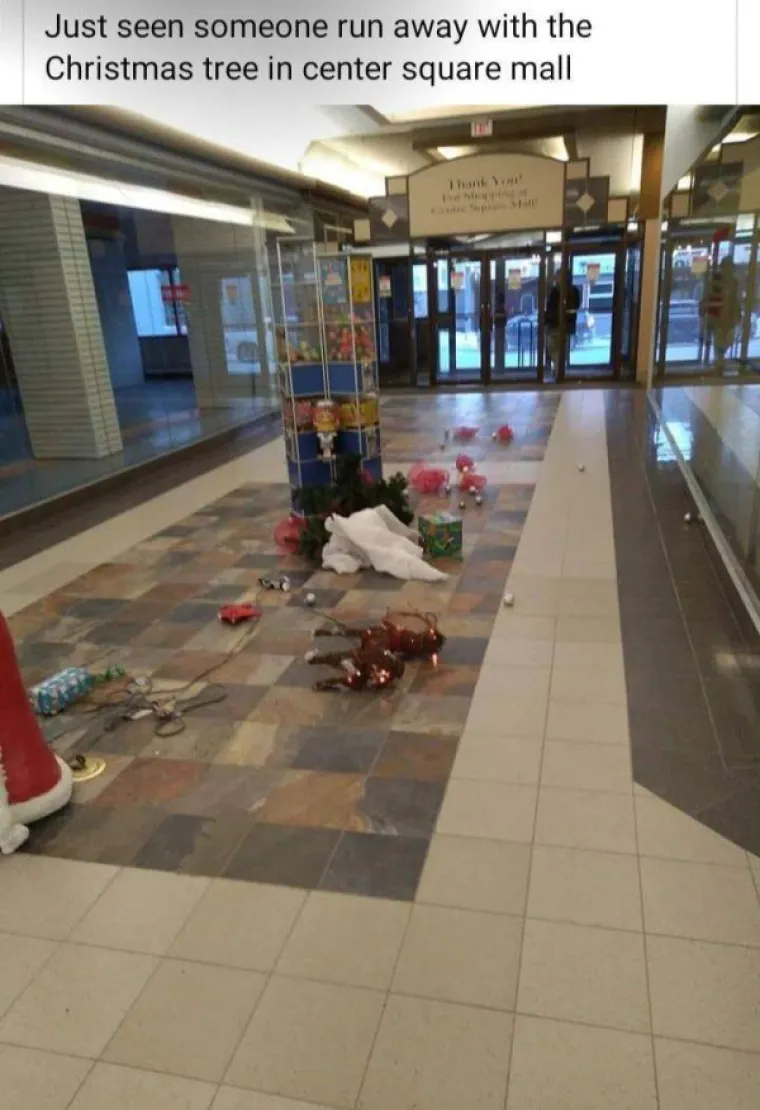 Netko je maznuo okićeni bor